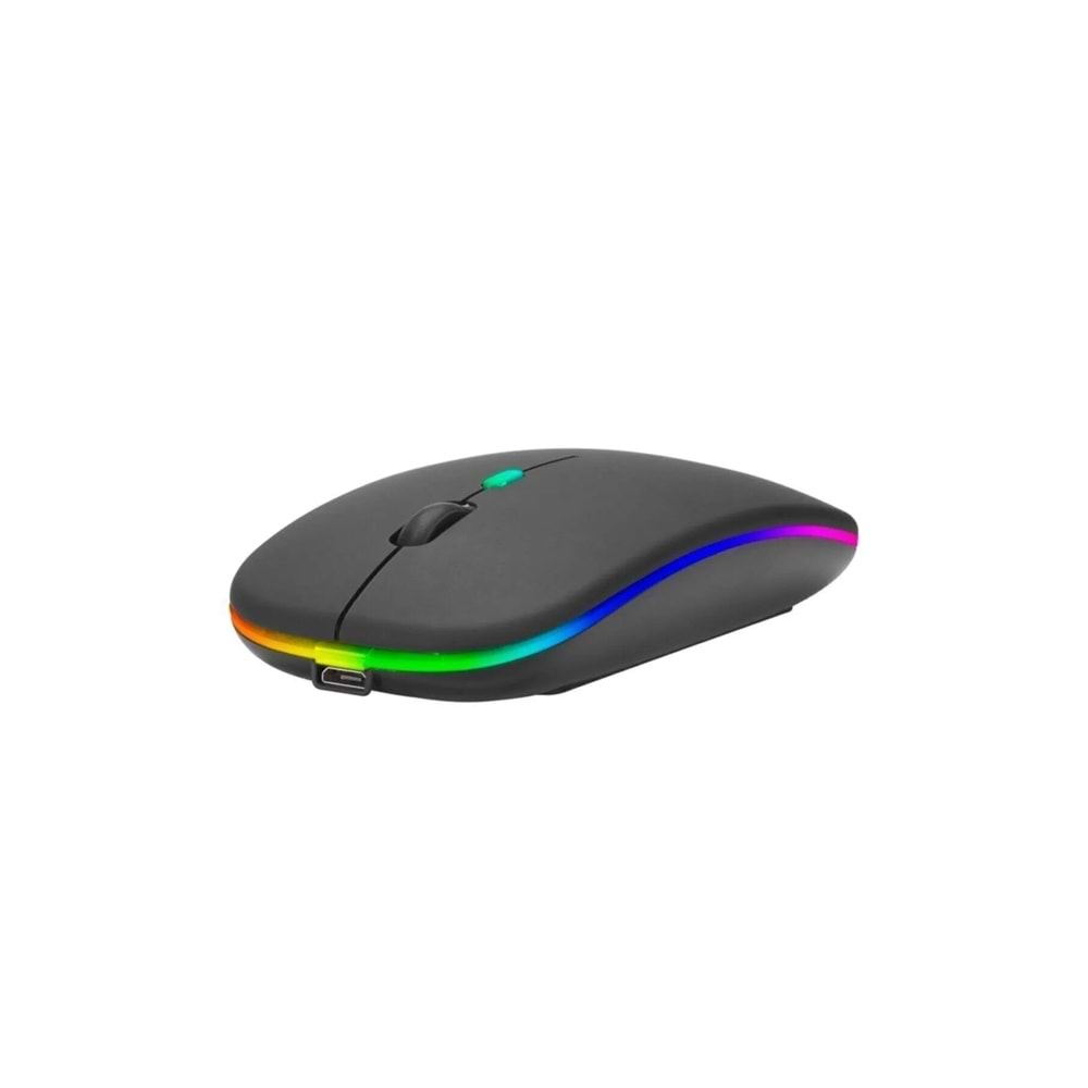 POLYGOLD PG-9009 WIRELESS SARJLI MOUSE