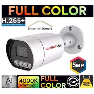 ALWANTEK ALW-94 İP 5MP Full Color