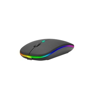 POLYGOLD PG-9009 WIRELESS SARJLI MOUSE